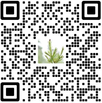 客服微信二维码